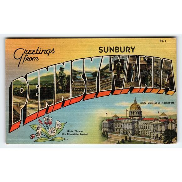 Vintage Sunbury Pennsylvania Linen Postcard State Large Letter Mid Century - Picture 1 of 2